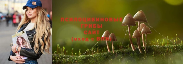 спиды Алексин