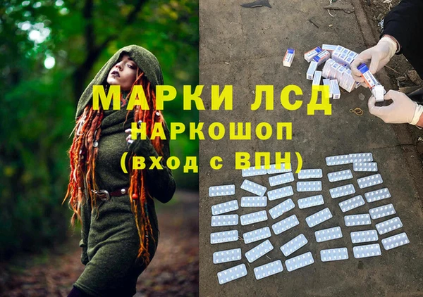 прущие грибы Алексеевка