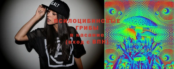 бошки Арсеньев