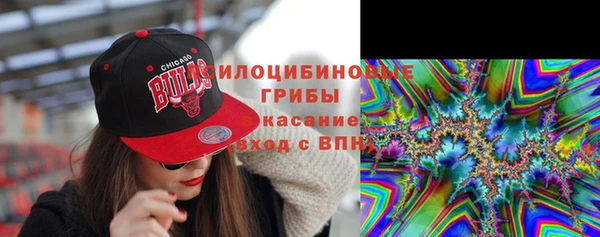 трава Аркадак
