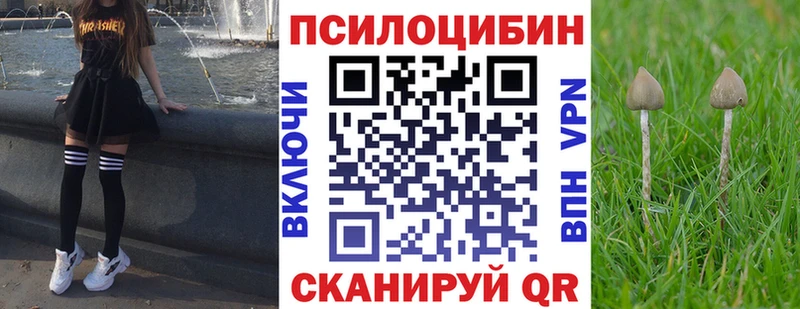 Галлюциногенные грибы GOLDEN TEACHER  Семикаракорск 